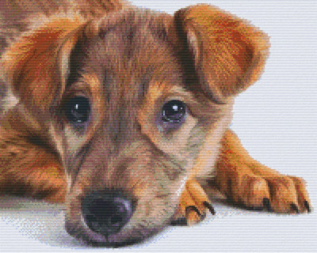 Little Dog Sixteen [16] Baseplate PixelHobby Mini-mosaic Art Kit image 0